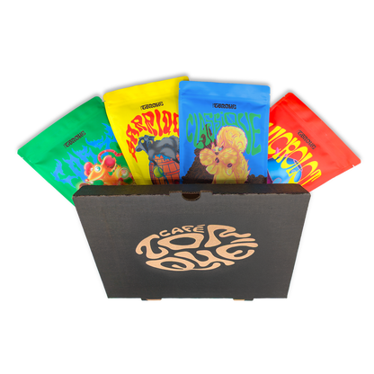 THE ALL-DRESSED - TASTING BOX