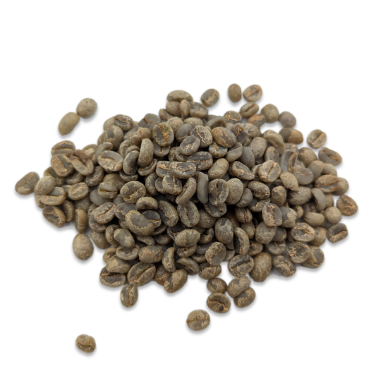 Guatemala - Coludo